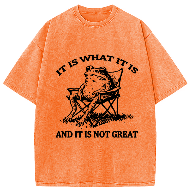 bbb Resting Frog Funny Washed T-Shirt