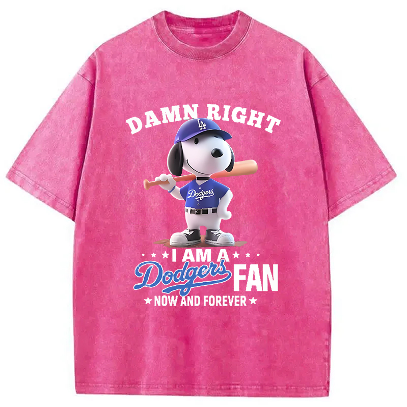 bbb Dodgers Baseball Vintage Washed T-Shirt