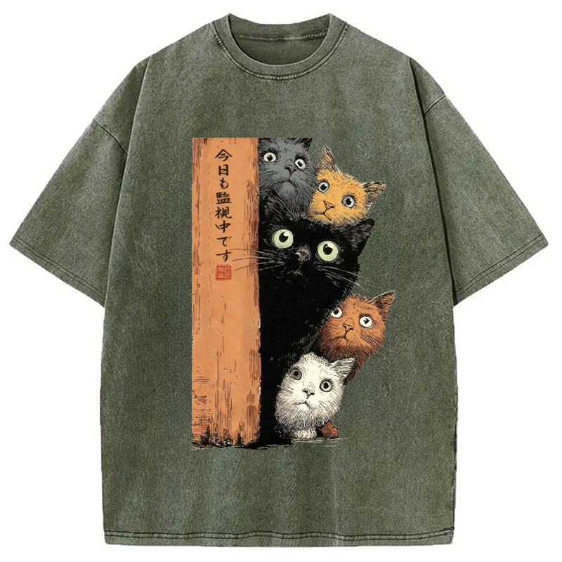 bbb Cats Are Watching You Washed T-Shirt