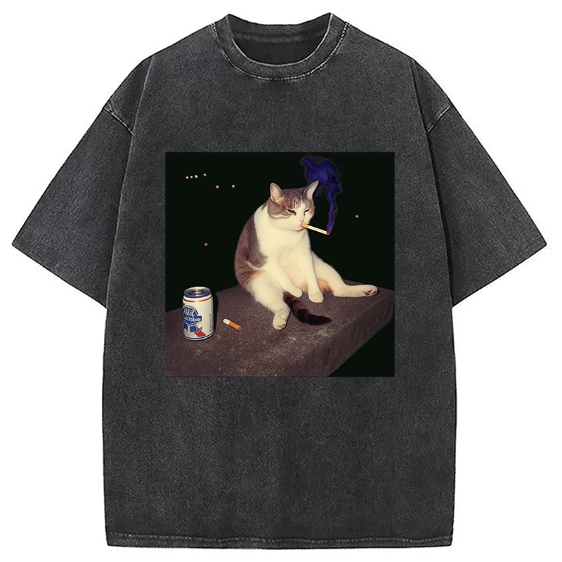 bbb Cigarette Kitten Funny Smoking Cat Meme Washed T-Shirt