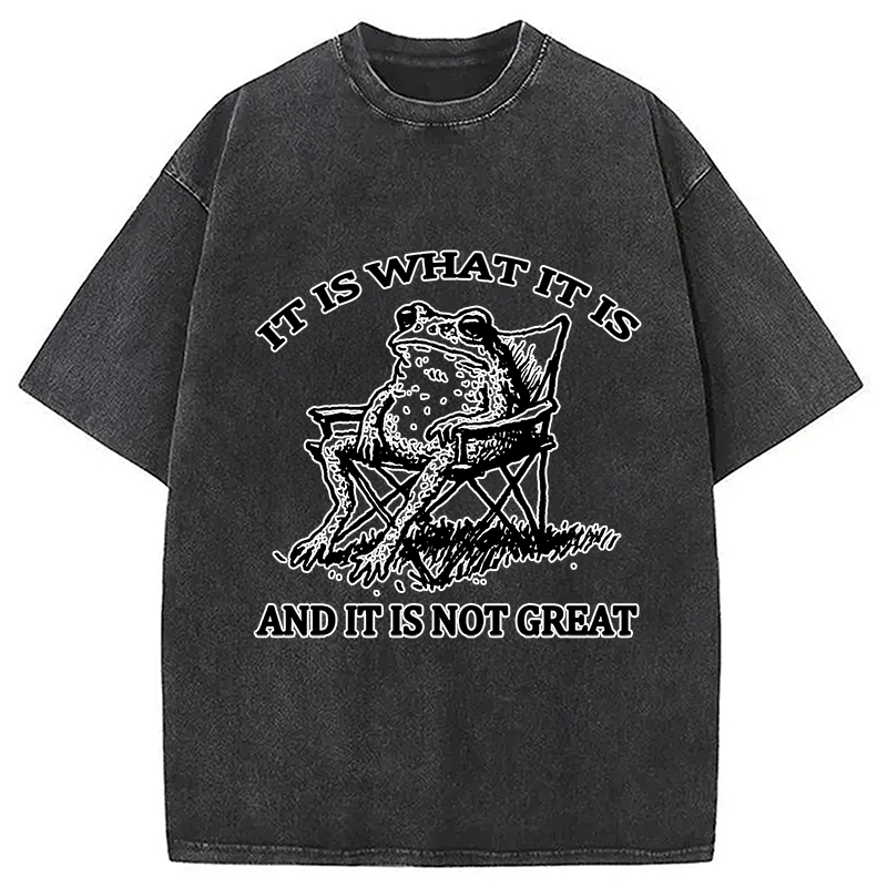 bbb Resting Frog Funny Washed T-Shirt