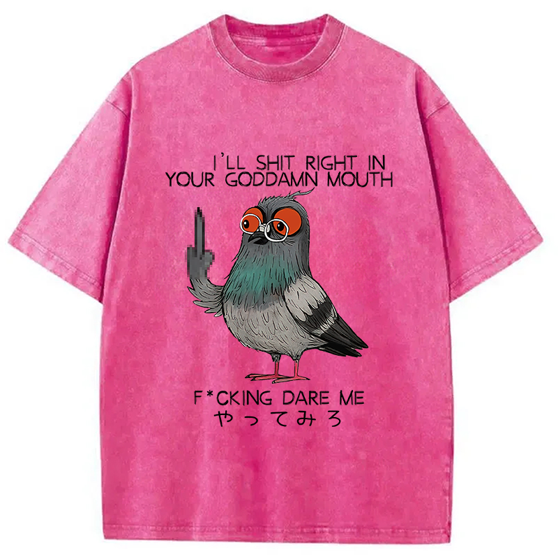 bbb Angry Pigeon Washed T-Shirt