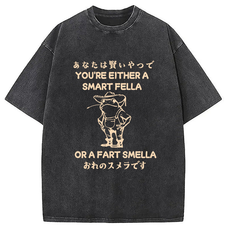 bbb Are You A Smart Fella Or Fart Smella Washed T-Shirt