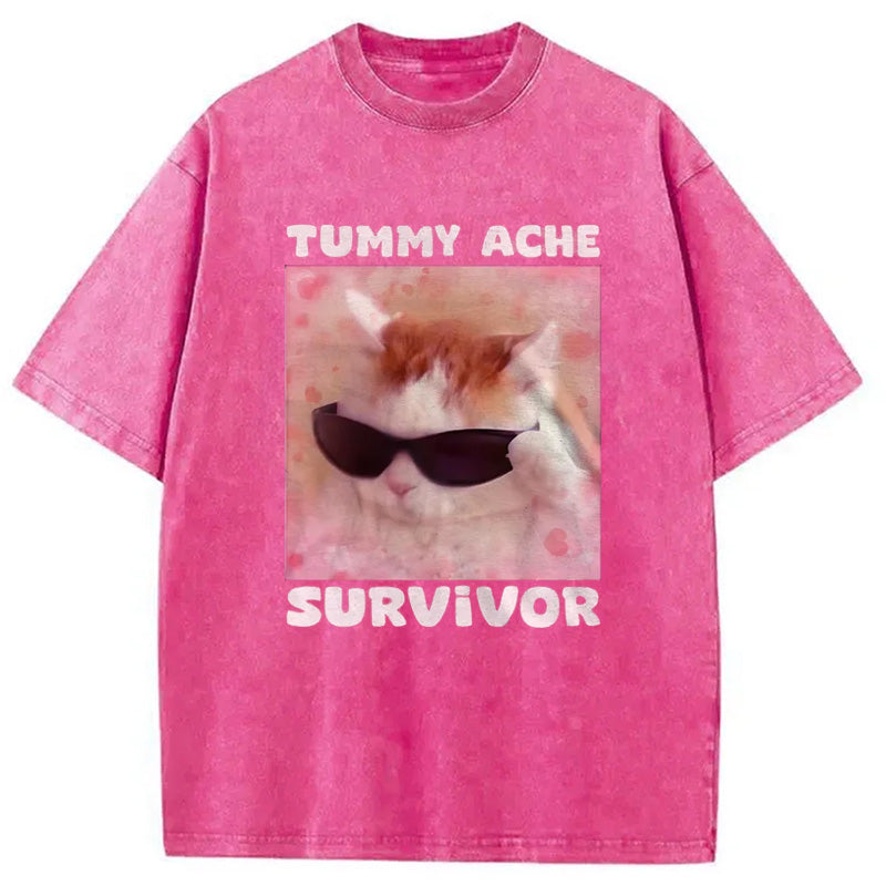 bbb Tummy Ache Survivor Funny Cat Meme Washed T-Shirt