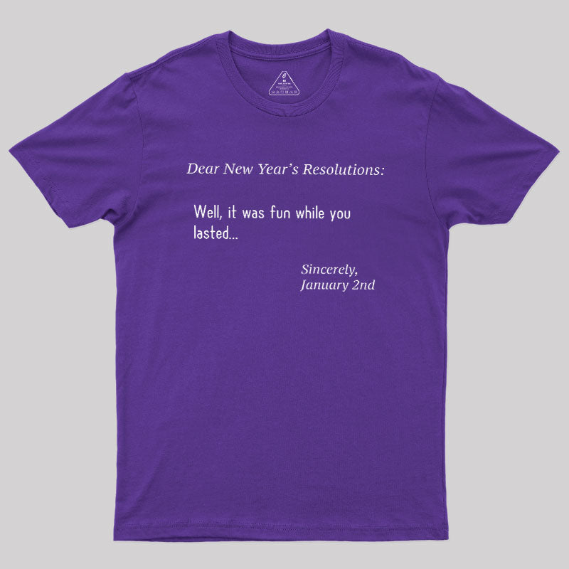Dear New Year Resolutions  T-Shirt