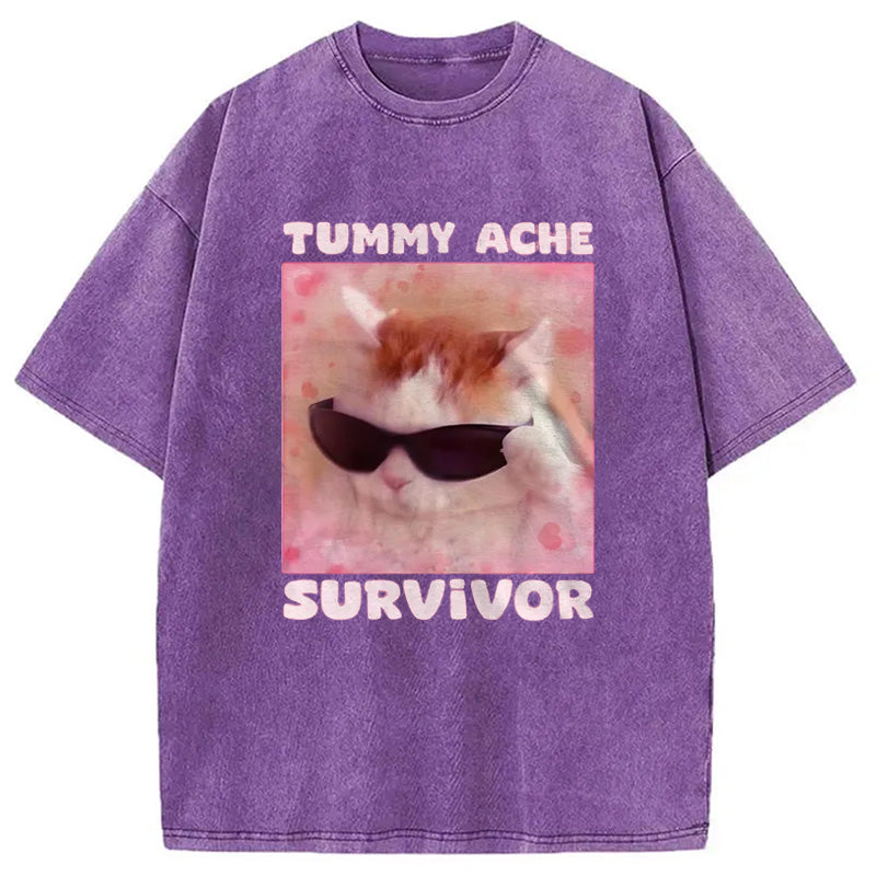 bbb Tummy Ache Survivor Funny Cat Meme Washed T-Shirt
