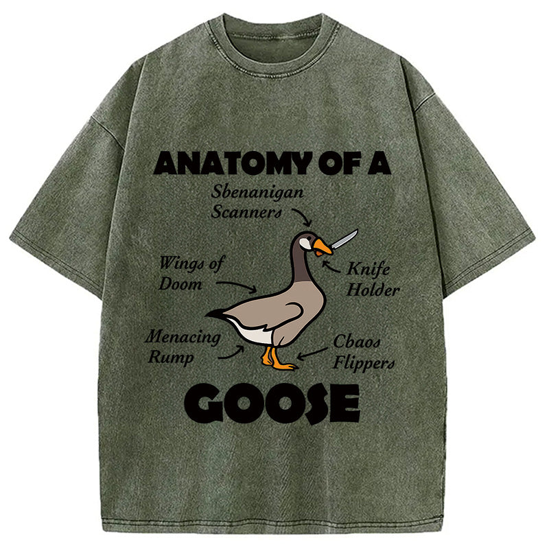 bbb Anatomy of A Goose Washed T-Shirt