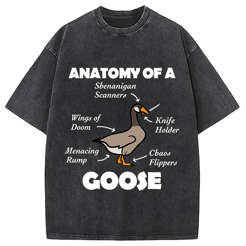 bbb Anatomy of A Goose Washed T-Shirt