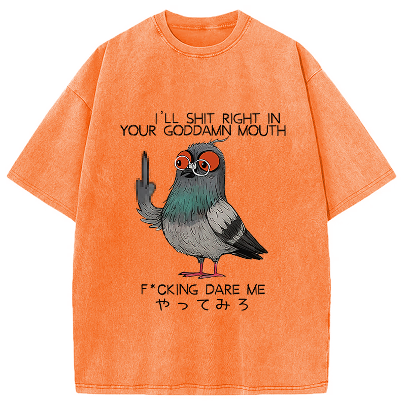 bbb Angry Pigeon Washed T-Shirt