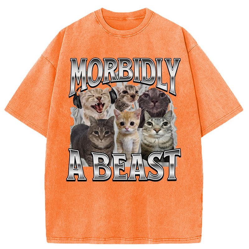bbb Morbidly A Beast Cat Meme Washed T-Shirt