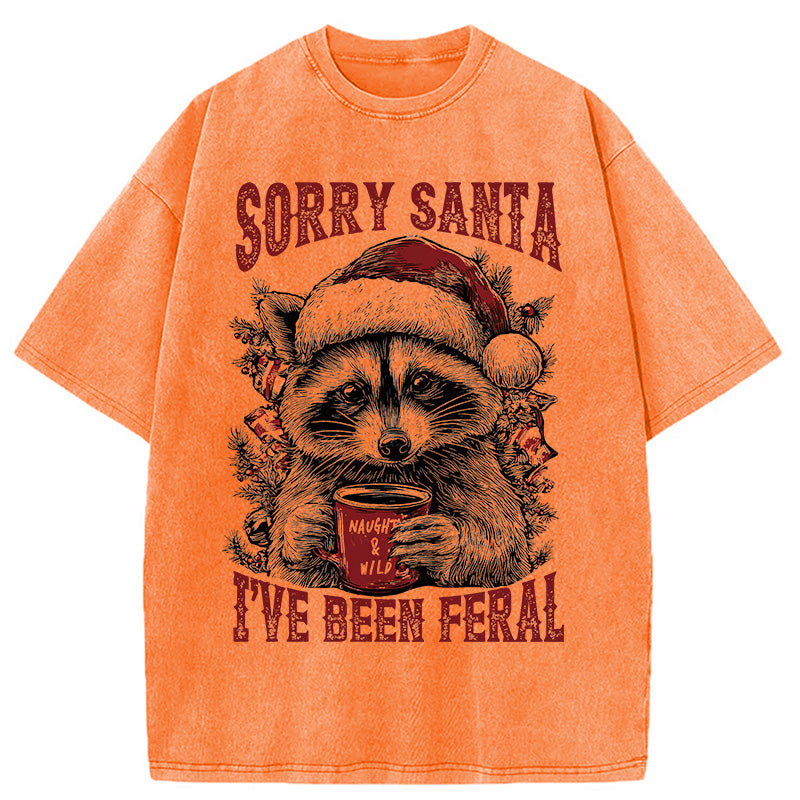 bbb Sorry Santa I've Been Feral Washed T-Shirt