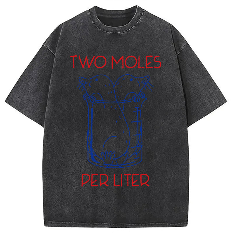 bbb Two Moles Per Liter Washed T-Shirt