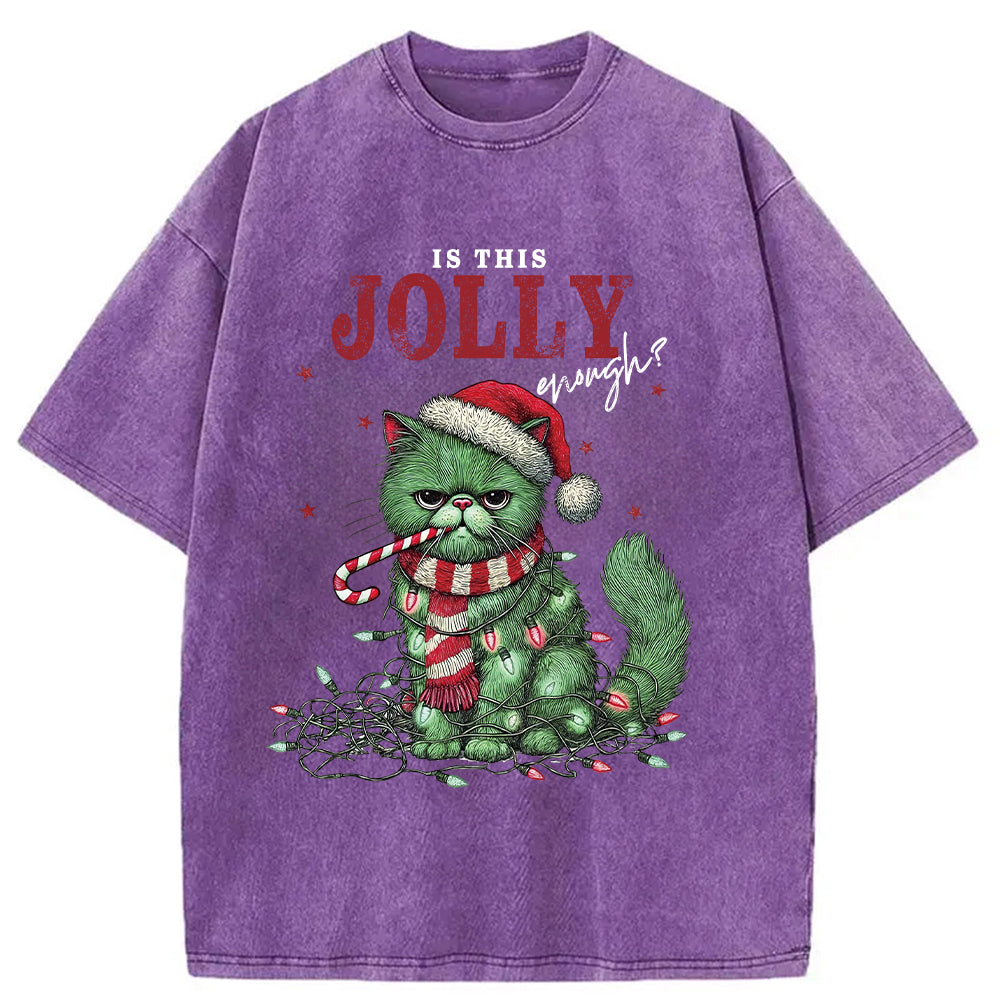 bbb Christmas Gift Washed T-Shirt