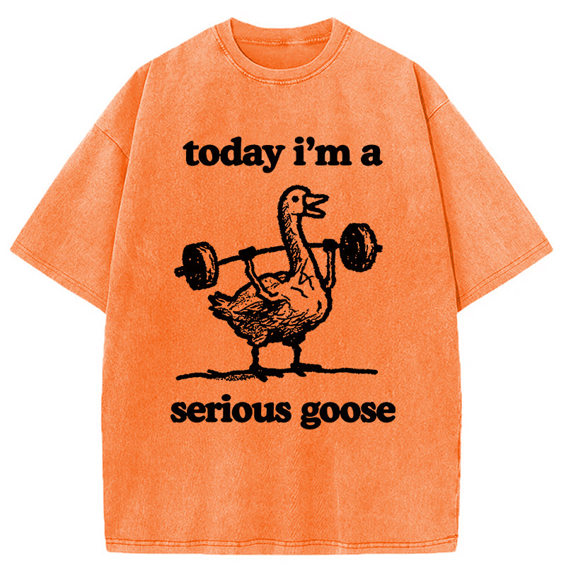 bbb Fitness Goose Washed T-Shirt