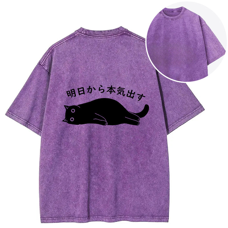 bbb I'm Going To Get Serious Tomorrow Back Washed T-Shirt