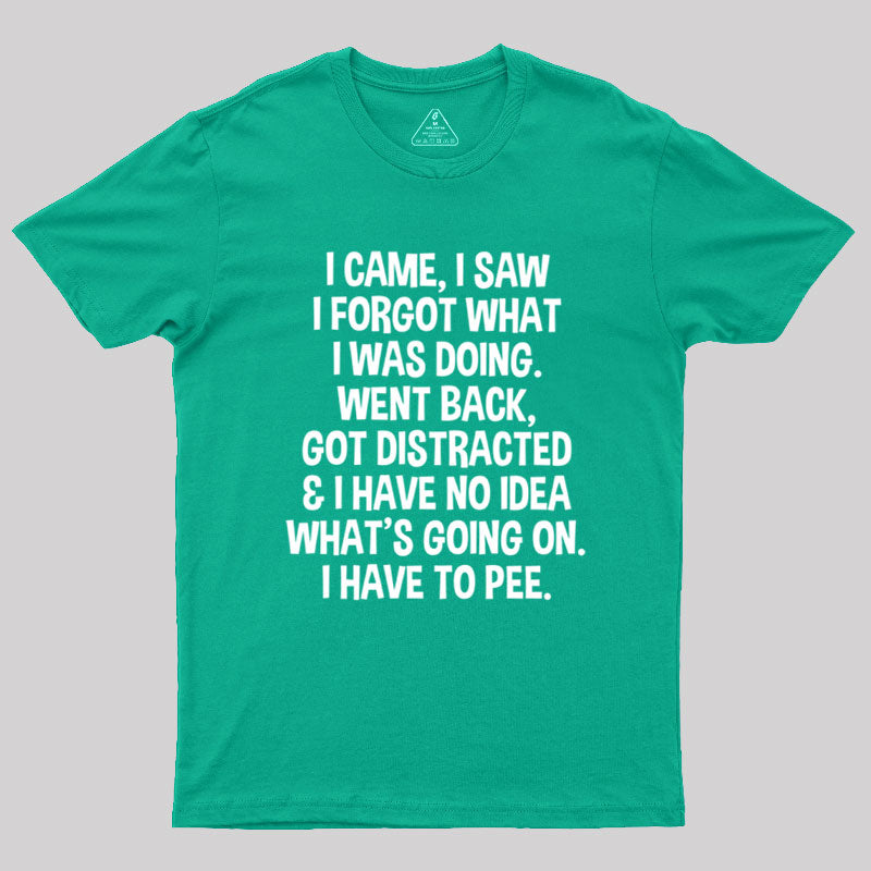 I Came I Saw I Forgot What I Was Doing  T-Shirt