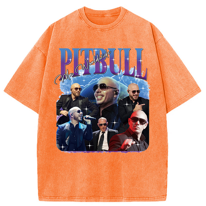 bbb Pitbull Mr.Worlwide Retro Washed T-Shirt