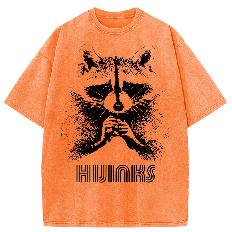 bbb Raccoon Hijinks Washed T-Shirt