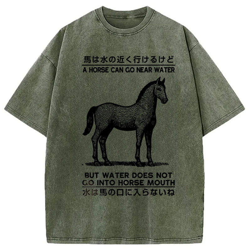 bbb Funny Horse And Water Saying Washed T-Shirt