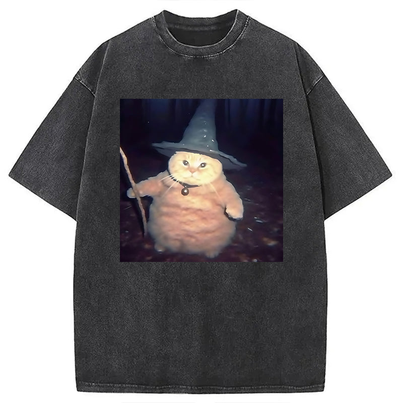 bbb Wizard Cat Funny Halloween Washed T-Shirt