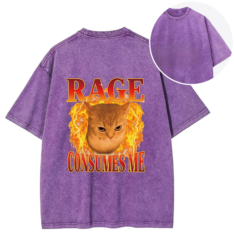 bbb Rage Consumes Me Edgy Funny Cat Meme Back Washed T-Shirt