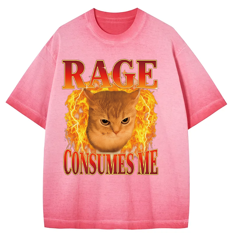bbb Rage Consumes Me Edgy Funny Cat Meme Gradient Washed T-Shirt
