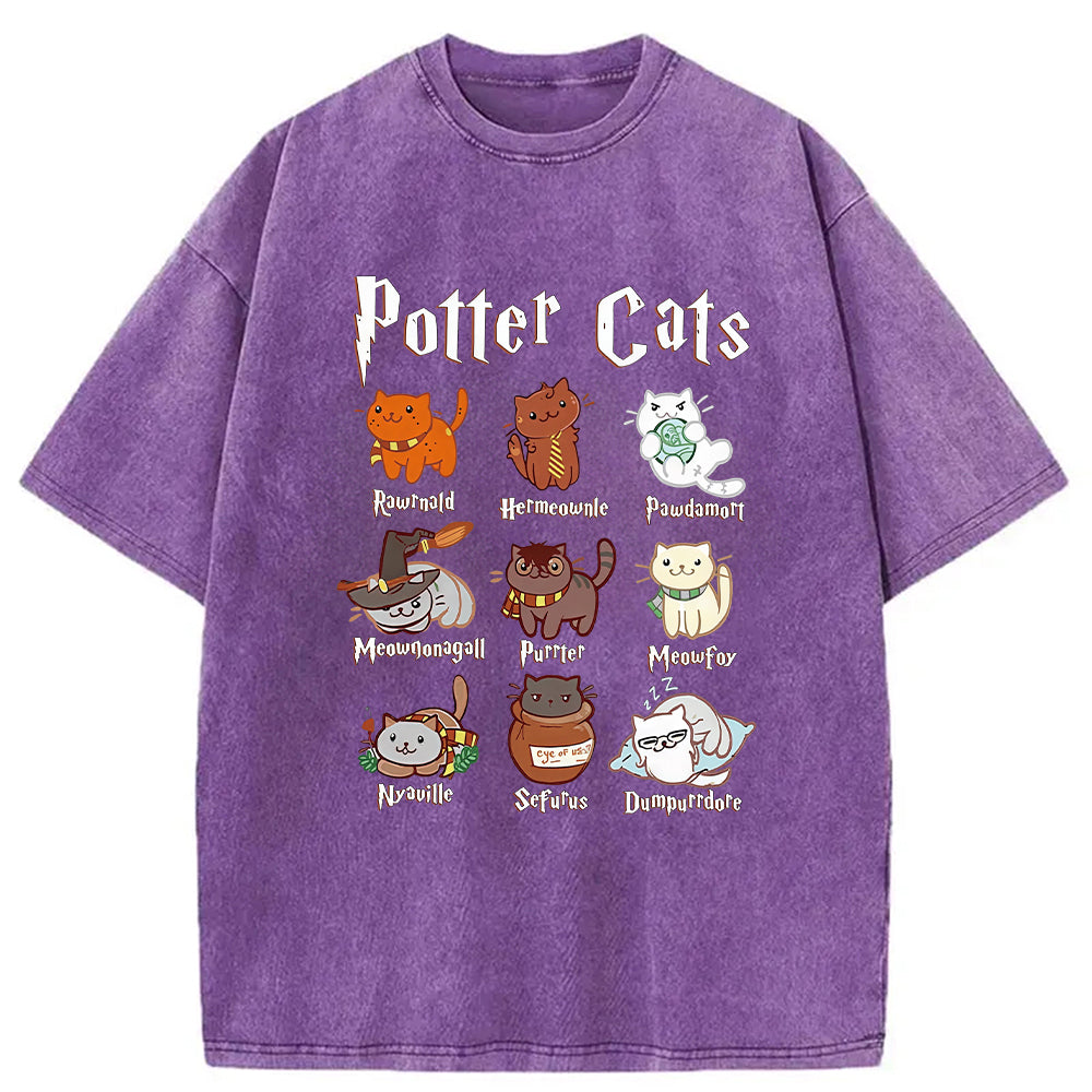 bbb Wizard Cats Washed T-Shirt