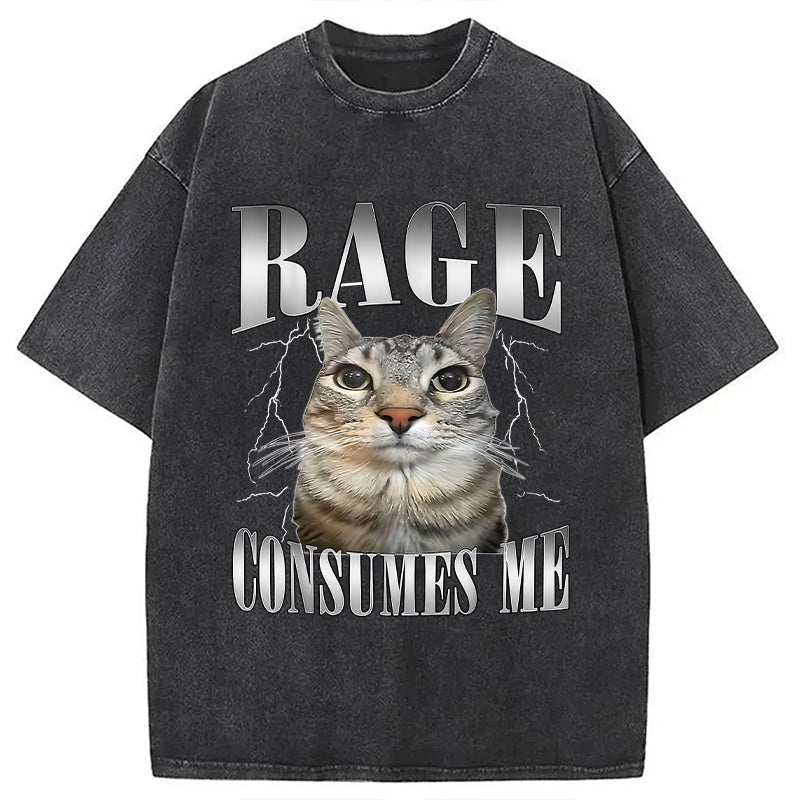 bbb Rage Consumes Me Funny Cat Washed T-Shirt