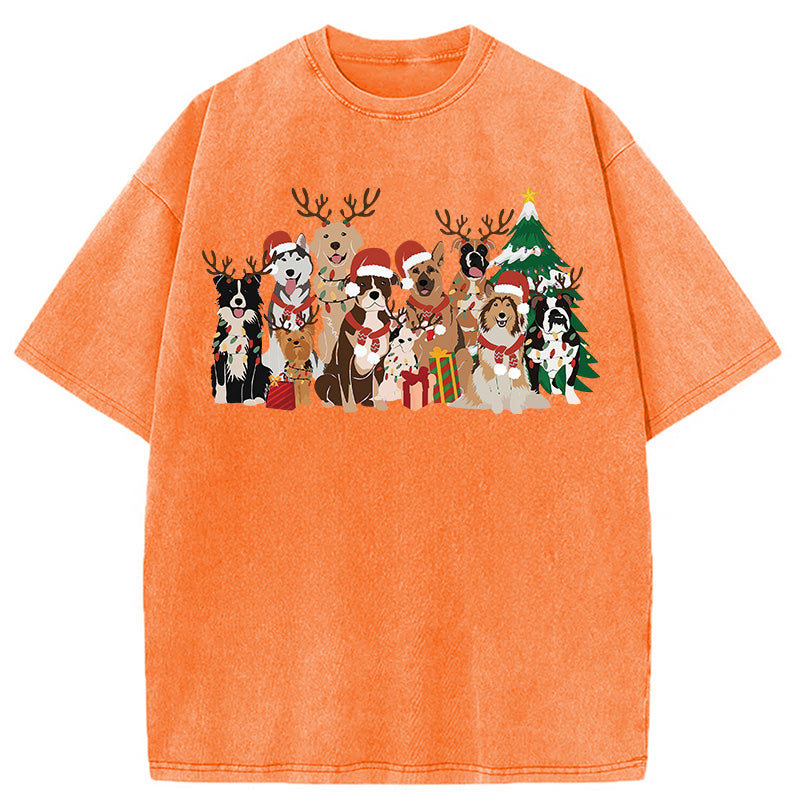 bbb Christmas Dogs Washed T-Shirt