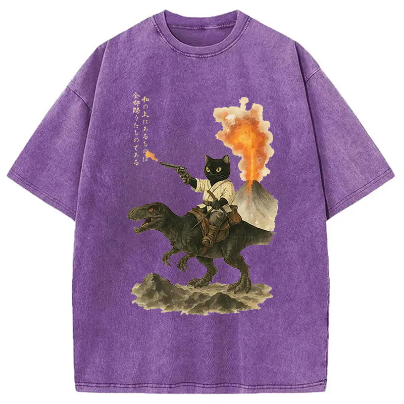 bbb Cat Riding A Dinosaur Washed T-Shirt