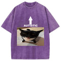 bbb Autistic Cat Washed T-Shirt