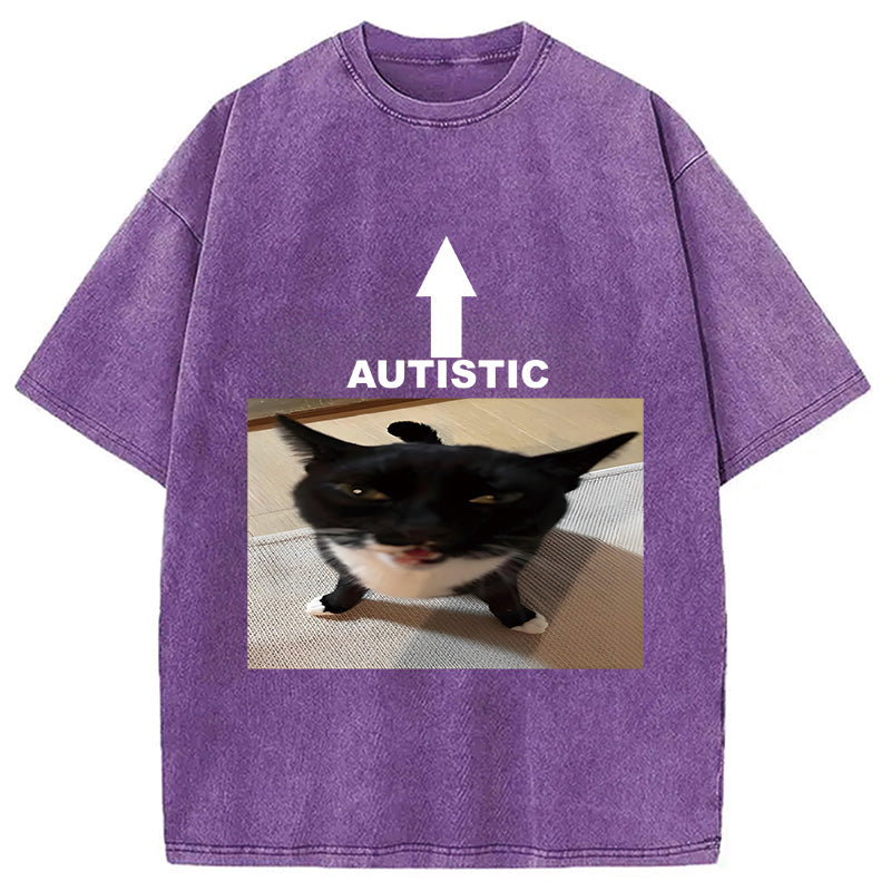bbb Autistic Cat Washed T-Shirt
