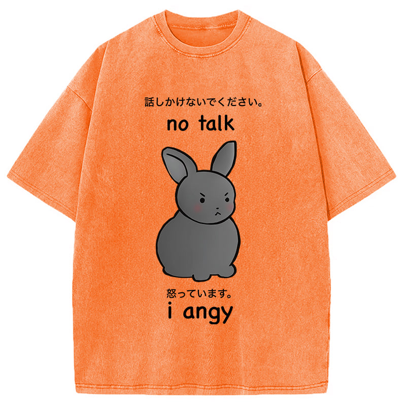 bbb No Talk I Angy Washed T-Shirt