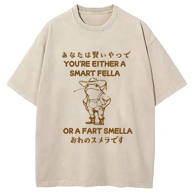 bbb Are You A Smart Fella Or Fart Smella Washed T-Shirt
