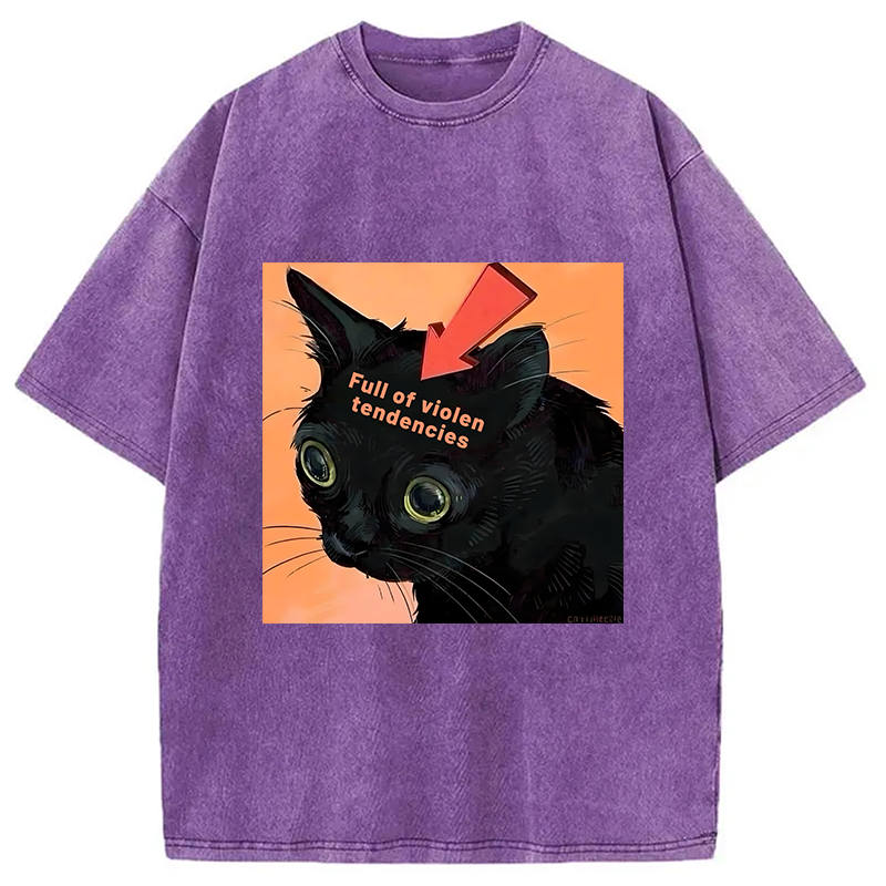bbb Full of Violen Tendencies Washed T-Shirt