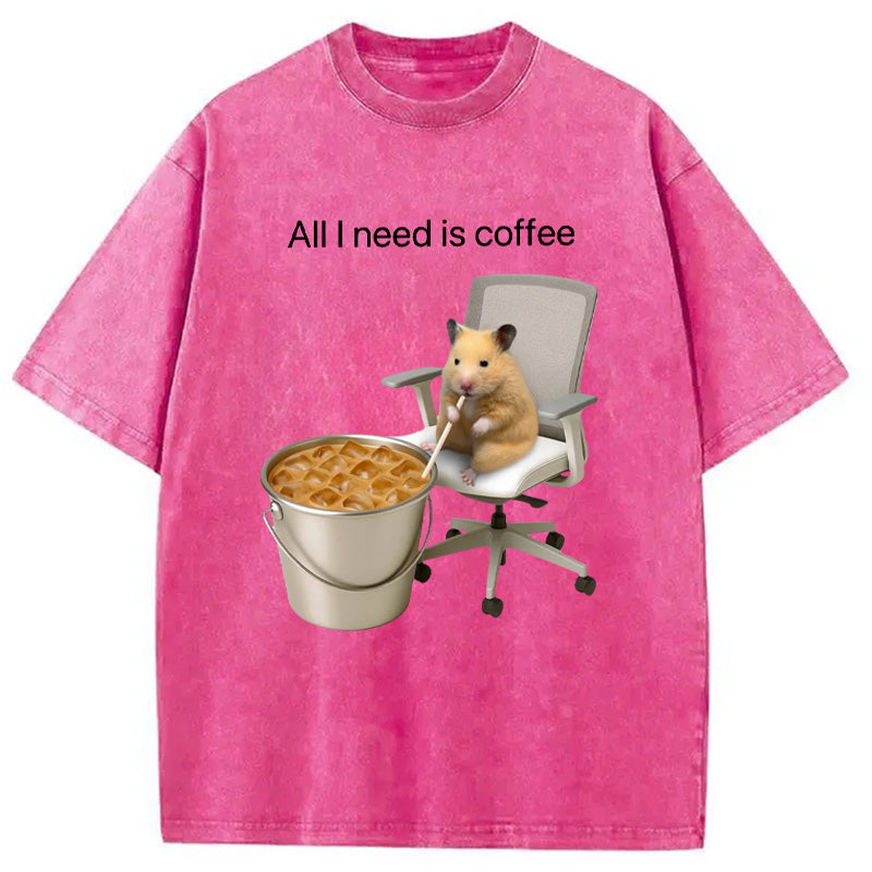 bbb All I Need Is Coffee Meme Washed T-Shirt
