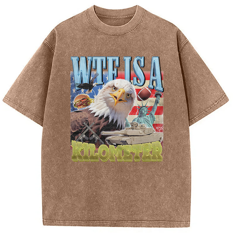 bbb Funny Eagle Meme Washed T-Shirt