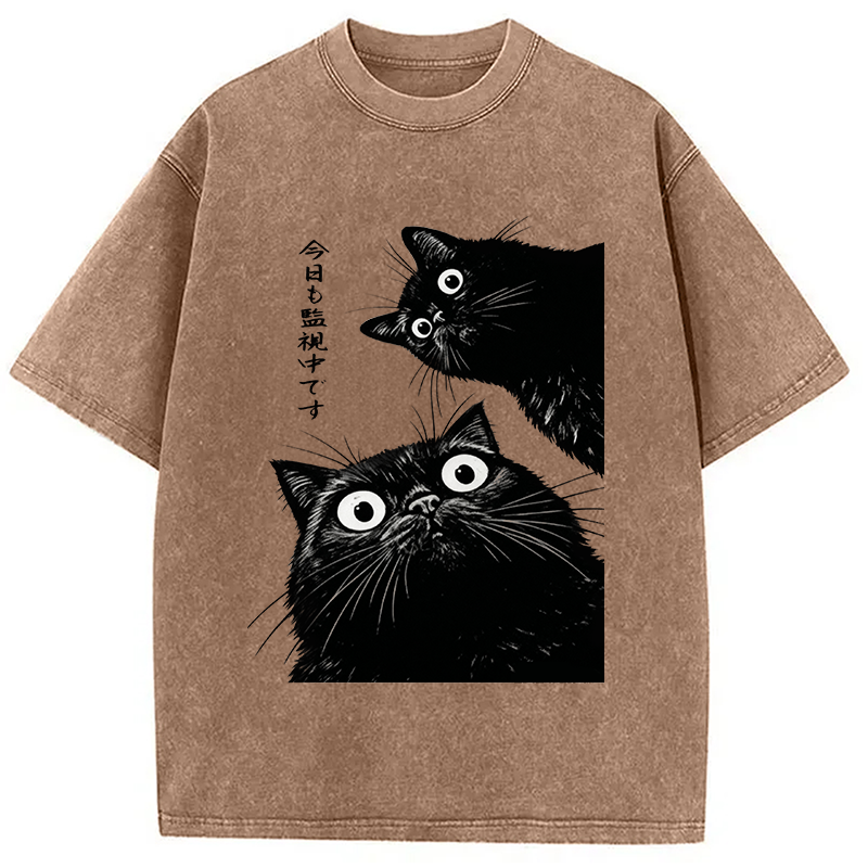 bbb The Cat Is Watching Today Washed T-Shirt