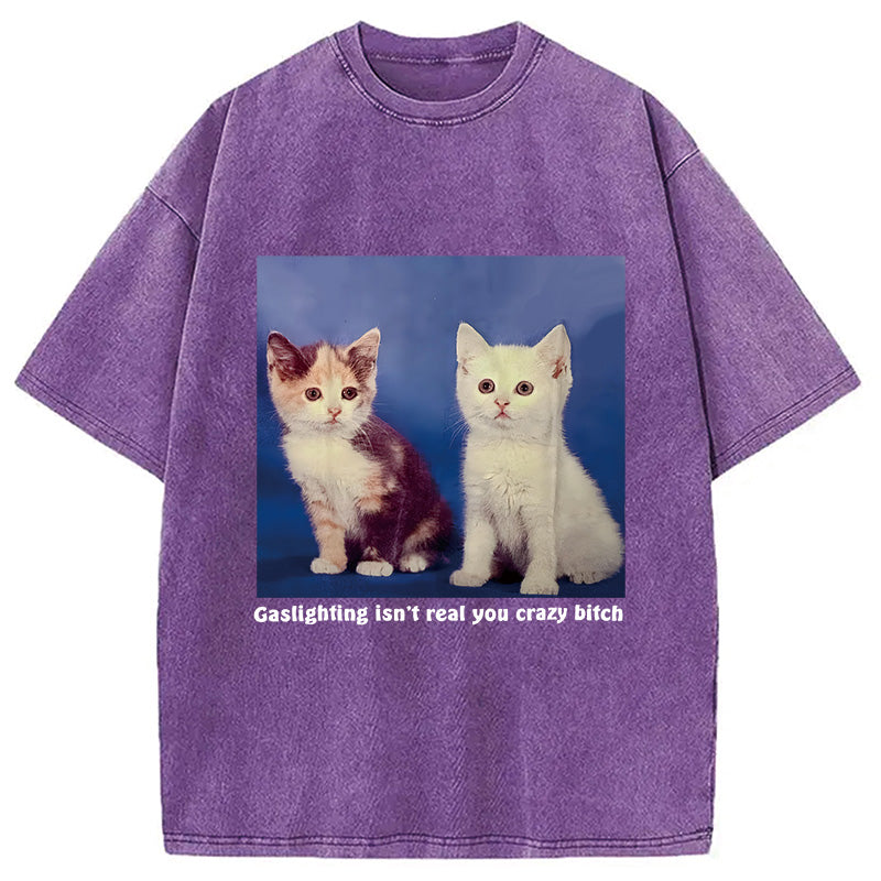 bbb Gaslighting Isn't Real You Crazy Bit*h Washed T-Shirt