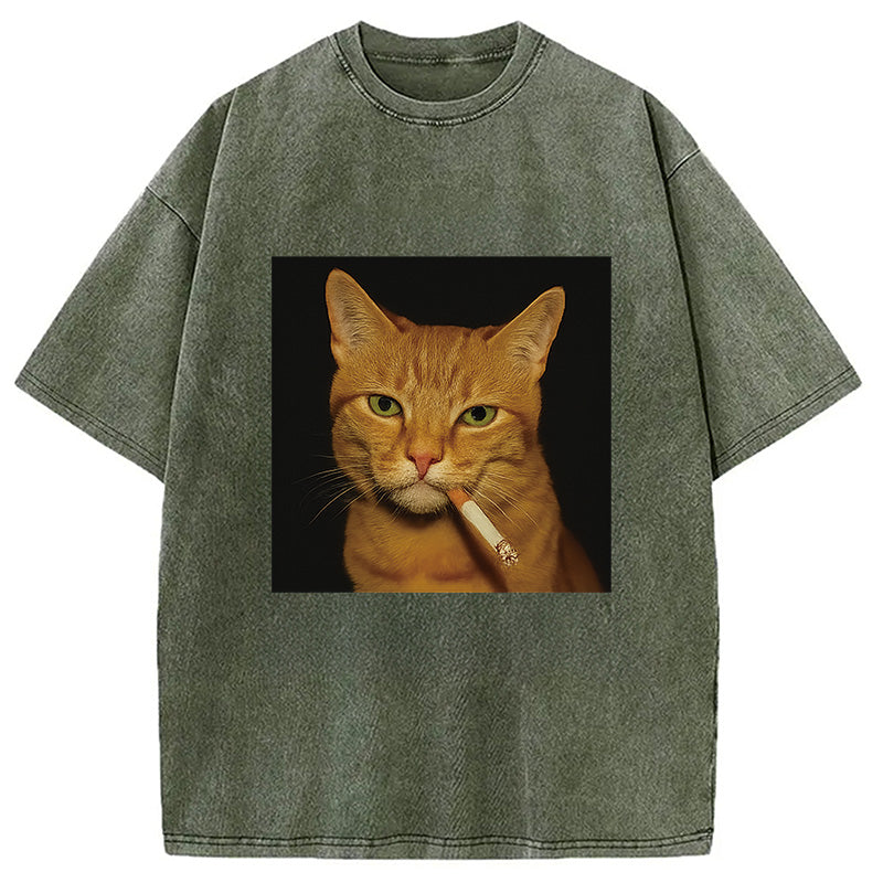 bbb Funny Orange Cat Smoking Meme Washed T-Shirt