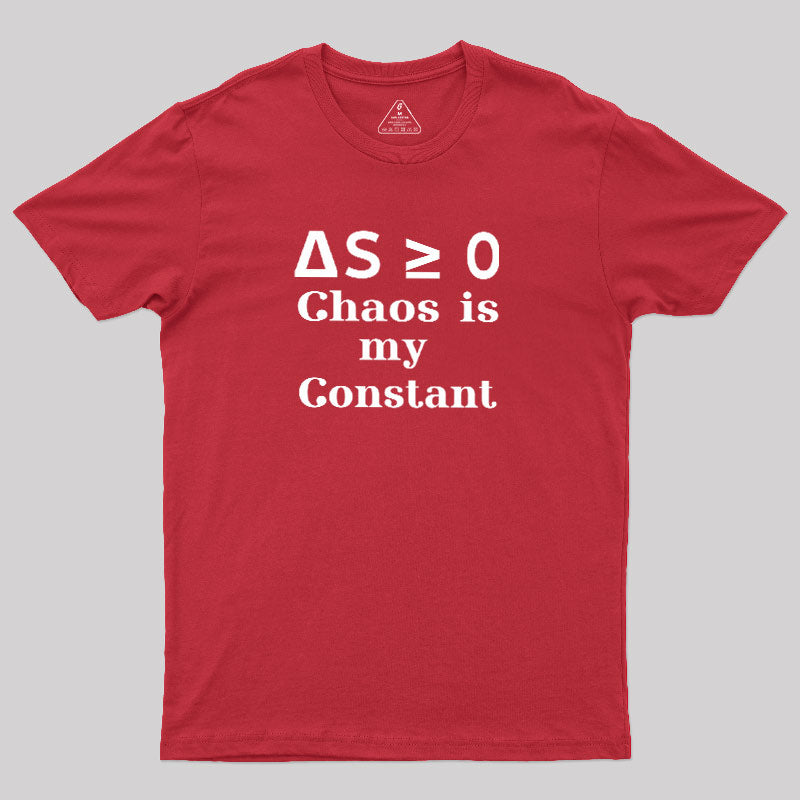 ΔS≥0  T-Shirt