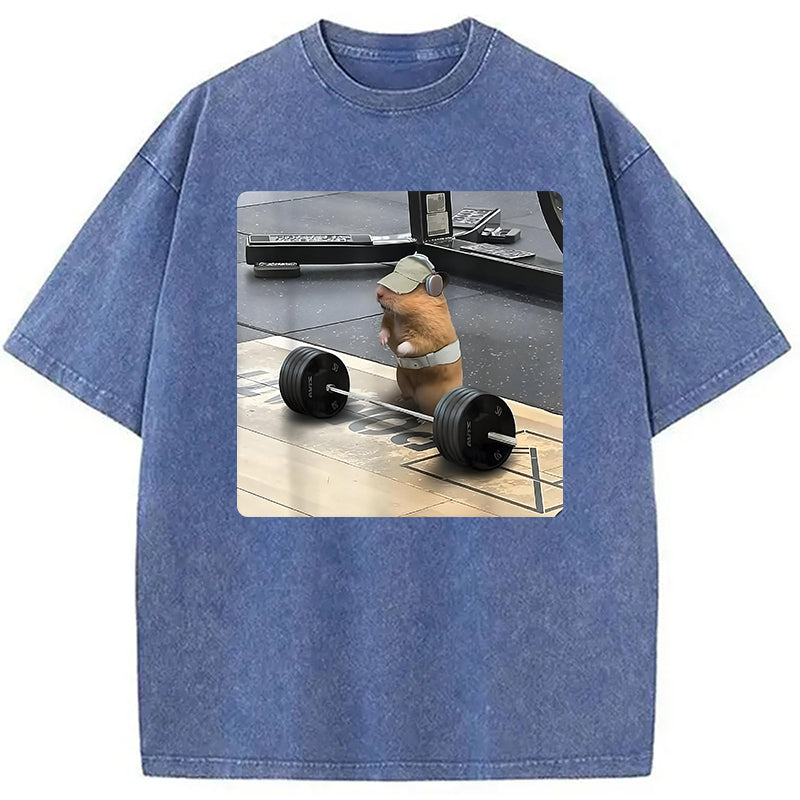bbb Funny Cute Rat Weightlifting Meme Washed T-Shirt