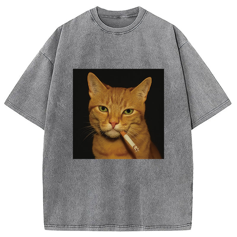 bbb Funny Orange Cat Smoking Meme Washed T-Shirt