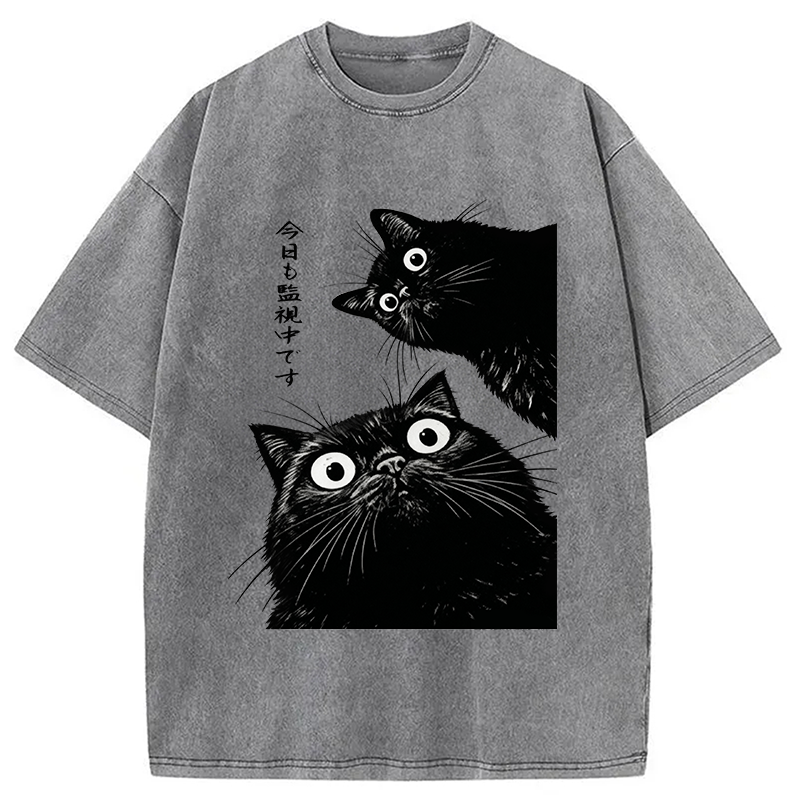 bbb The Cat Is Watching Today Washed T-Shirt