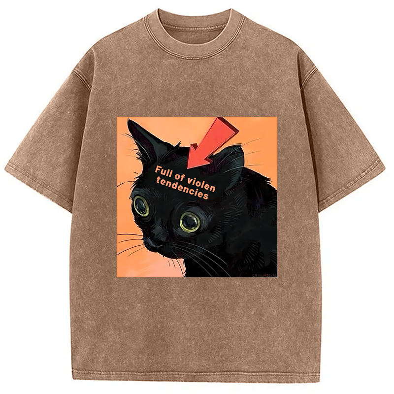 bbb Full of Violen Tendencies Washed T-Shirt
