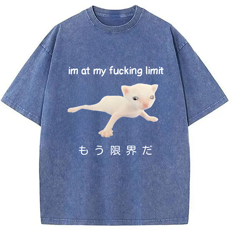 bbb Cat Reaching Its Limit Washed T-Shirt