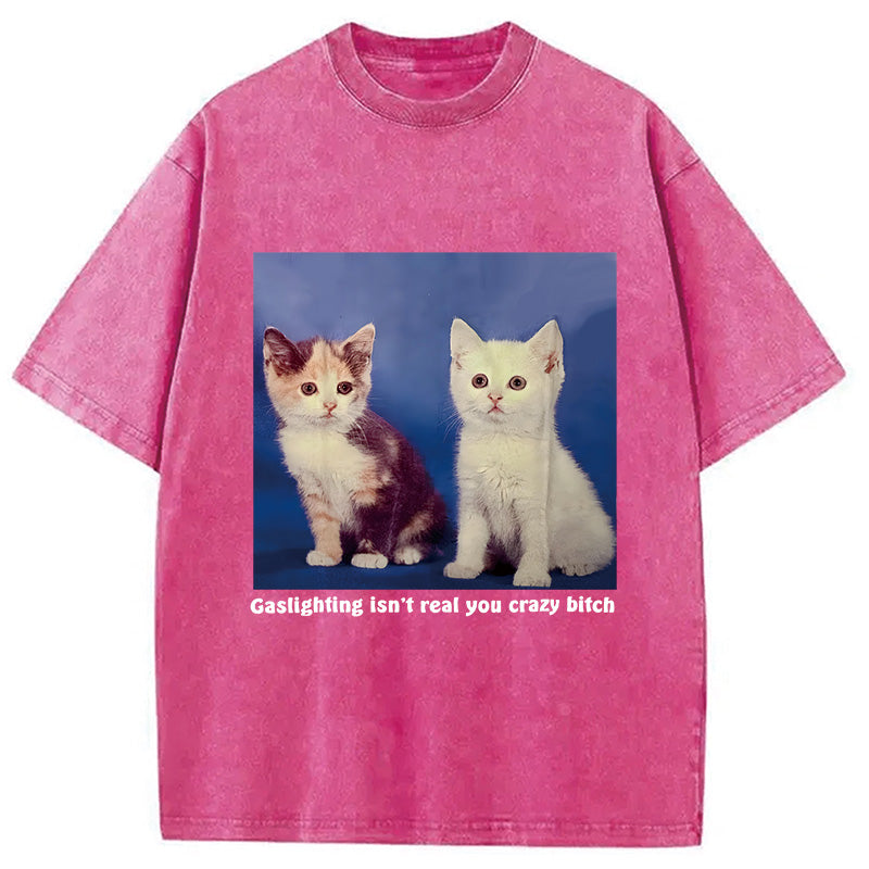 bbb Gaslighting Isn't Real You Crazy Bit*h Washed T-Shirt