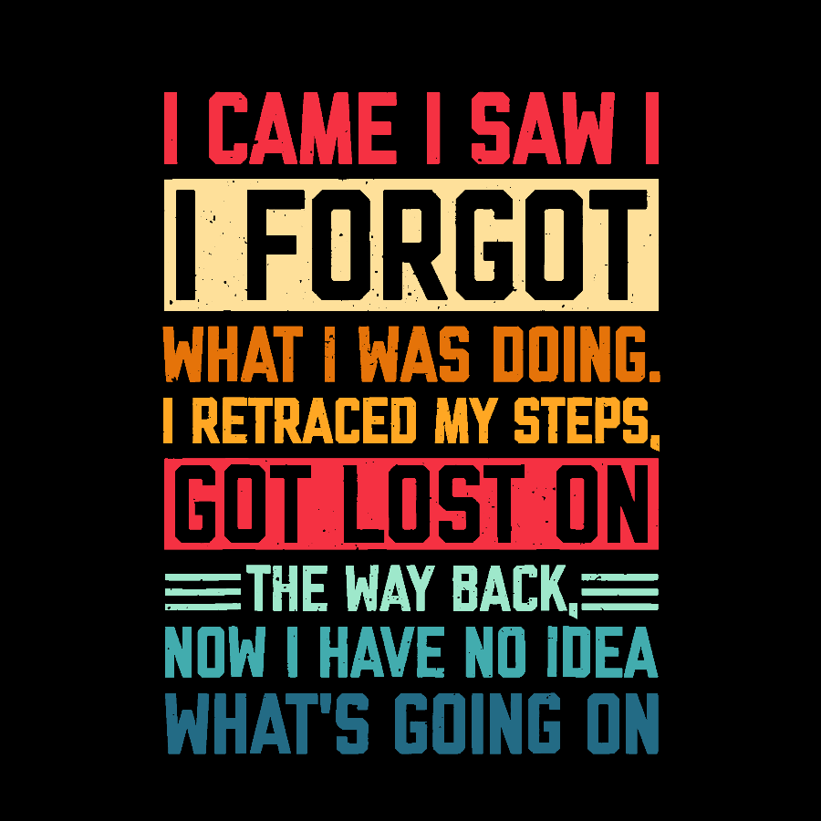 I Came I Saw I Forgot What I Was Doing Sarcastic  T-Shirt