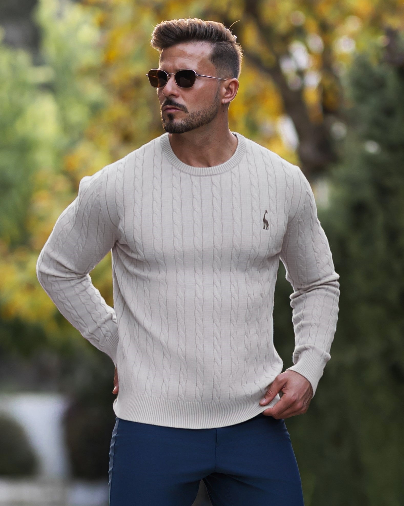 Soft Timeless Men's Cable Knit Sweater - Crewneck, Cotton