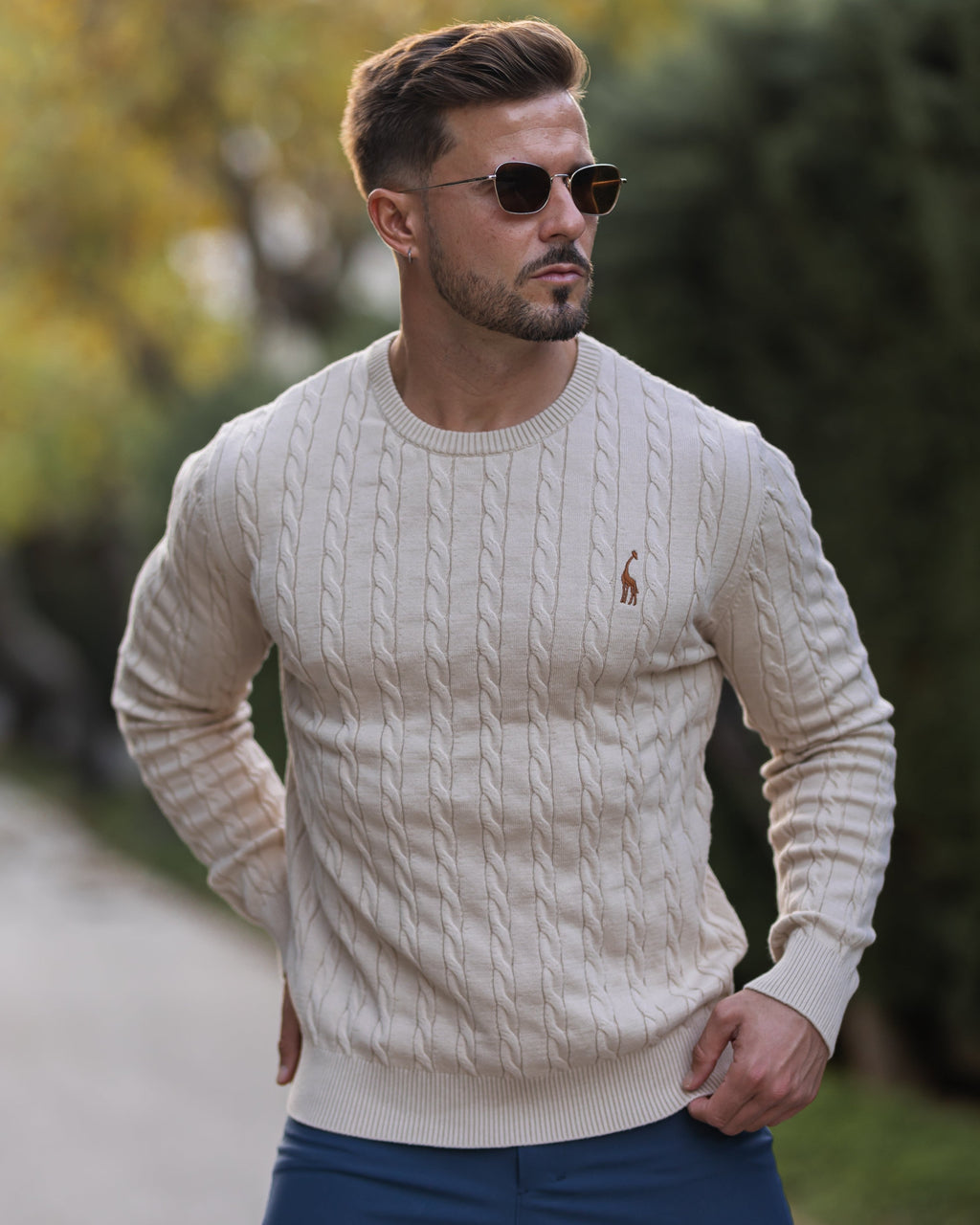Soft Timeless Men's Cable Knit Sweater - Crewneck, Cotton
